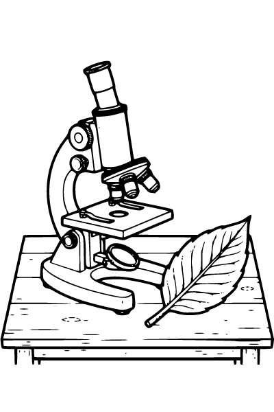 Back To School Coloring Page 8, Back To School coloring page