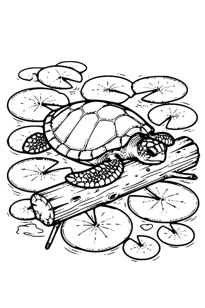 Earth Coloring Page 10, Earth coloring page