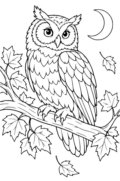 Fall Owl On A Maple Branch Coloring Page, Fall coloring page
