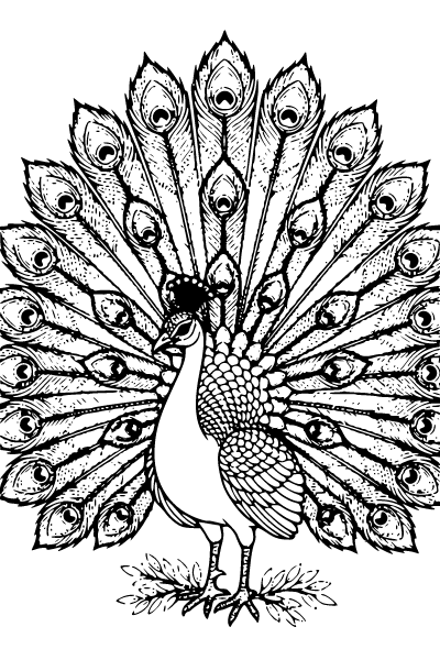 Hard Coloring Page 2, Hard coloring page