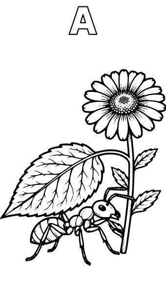 Letter A Coloring Page 5, Letter A coloring page