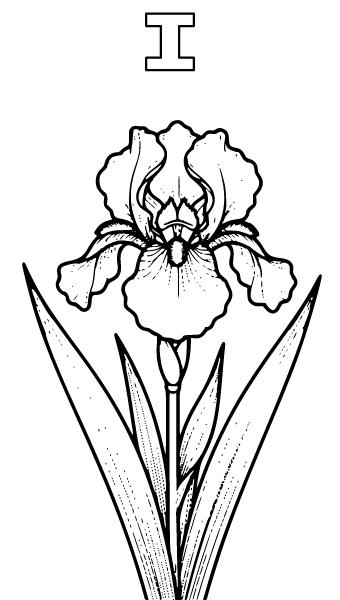 Letter I Coloring Page 4, Letter I coloring page