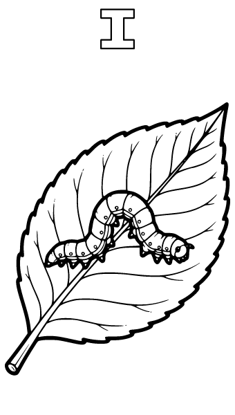 Letter I Coloring Page 7, Letter I coloring page